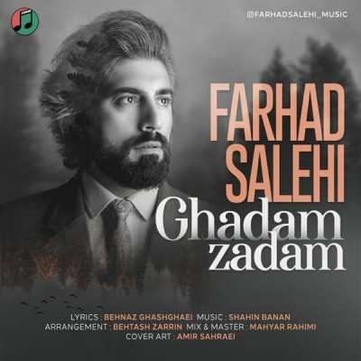 دانلود آهنگ فرهاد صالحی قدم زدم